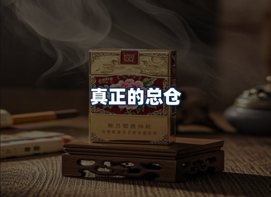 专业团队办公环境